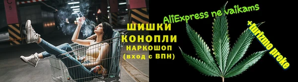 амф Верхний Тагил