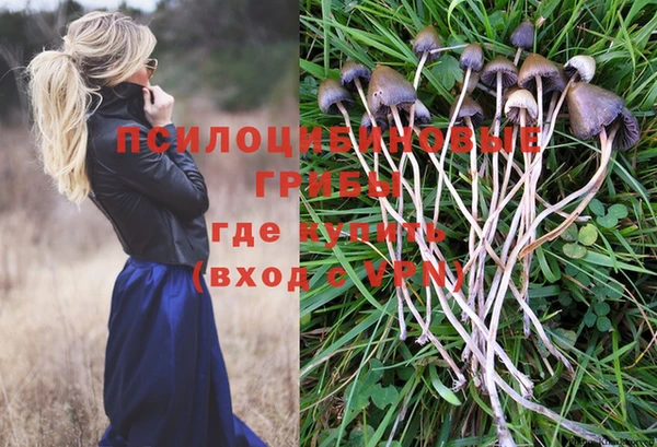героин Верея