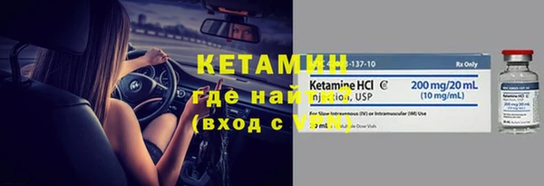 индика Бородино