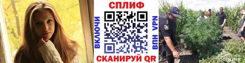 Марихуана сатива  Купить где  Кулебаки 
